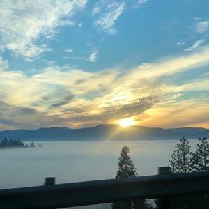 Meet your Posher, Marley